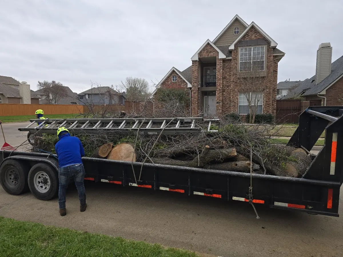 Expert Tree Fertilization with proper safety equipment in Muscoda